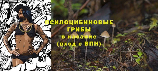 гидра Белоозёрский