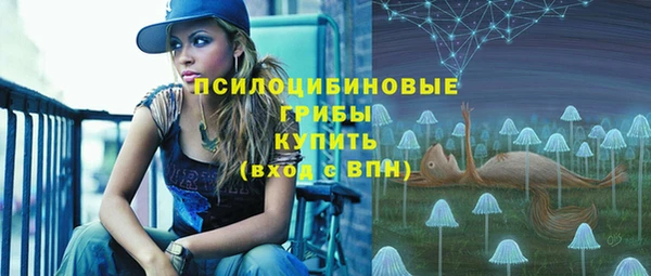 не бодяженный Белокуриха