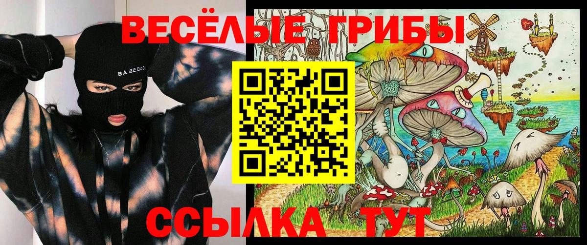 Псилоцибиновые грибы Psilocybe Реутов