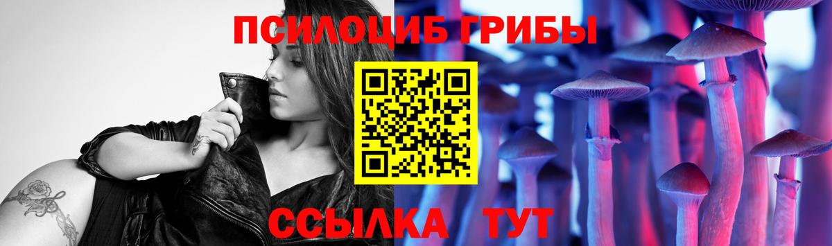 Галлюциногенные грибы мицелий  Вход с VPN  Псилоцибиновые грибы мицелий  Реутов 